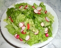 salata sa rotkvicama