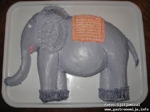 torta slon