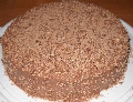 TORTA BRZI TIGAR