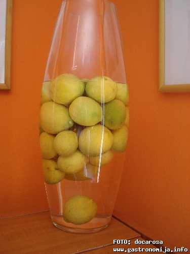 limun u vazi