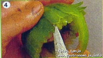 Korpica od zelenog paradajza